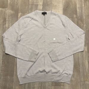 Mens NWOT‎ Express 100% Merino Wool V-Neck Pullover Sweater